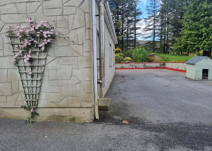 Kwatera prywatna Kelmin House *